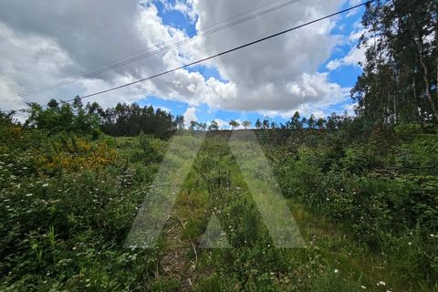 Terra a Barro, Aveiro, Barro - € 150.000 | Ref: 1012278/25 GL - foto 5