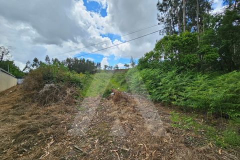 Terra a Barro, Aveiro, Barro - € 150.000 | Ref: 1012278/25 GL - foto 6