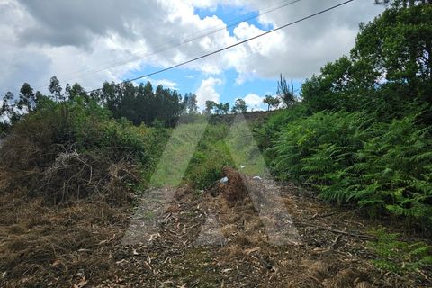 Terra a Barro, Aveiro, Barro - € 150.000 | Ref: 1012278/25 GL - foto 7