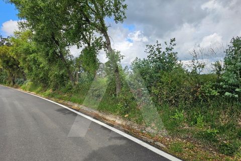 Terra a Barro, Aveiro, Barro - € 150.000 | Ref: 1012278/25 GL - foto 8