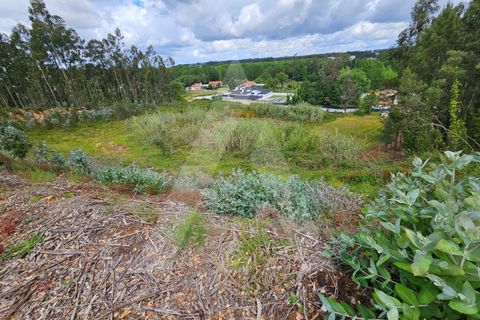 Terra a Barro, Aveiro, Barro - € 150.000 | Ref: 1012278/25 GL - foto 9