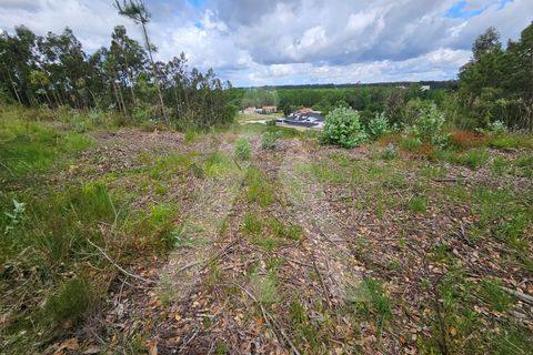 Terra a Barro, Aveiro, Barro - € 150.000 | Ref: 1012278/25 GL - foto 10