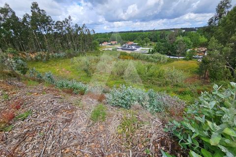 Terra a Barro, Aveiro, Barro - € 150.000 | Ref: 1012278/25 GL - foto 11