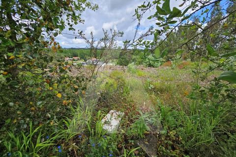 Terra a Barro, Aveiro, Barro - € 150.000 | Ref: 1012278/25 GL - foto 12