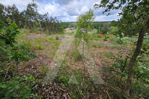 Terra a Barro, Aveiro, Barro - € 150.000 | Ref: 1012278/25 GL - foto 13