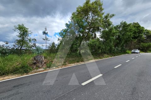 Terra a Barro, Aveiro, Barro - € 150.000 | Ref: 1012278/25 GL - foto 14