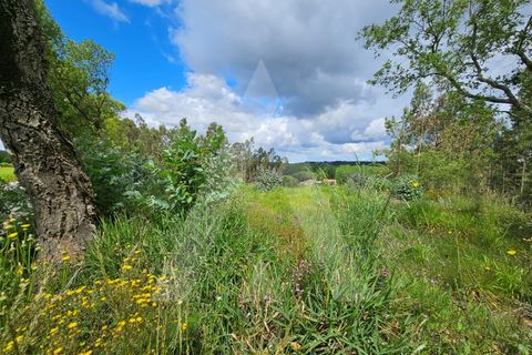 Terra a Barro, Aveiro, Barro - € 150.000 | Ref: 1012278/25 GL - foto 15