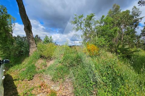 Terra a Barro, Aveiro, Barro - € 150.000 | Ref: 1012278/25 GL - foto 16