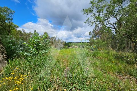 Terra a Barro, Aveiro, Barro - € 150.000 | Ref: 1012278/25 GL - foto 17
