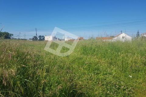 Helårsgrund i Aveiro, Aveiro, Aveiro - € 200.000 | Ref: 4297 - foto 1
