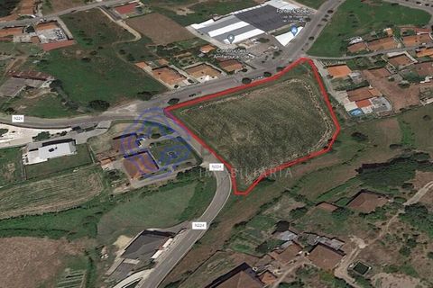Helårsgrund i Arouca, Aveiro, Arouca - € 700.000 | Ref: 165691 - foto 10