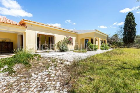 Villa i Vale do Lobo, Faro, Vale do Lobo - € 3.500.000 | Ref: W-02ZT7G - foto 11