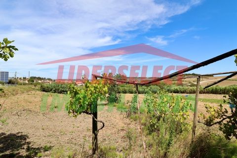 Helårsgrund i A dos Cunhados e Maceira, Lisbon, A dos Cunhados e Maceira - € 74.000 | Ref: TRN142 - foto 2
