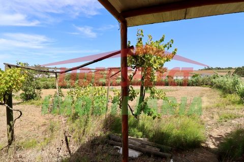 Helårsgrund i A dos Cunhados e Maceira, Lisbon, A dos Cunhados e Maceira - € 74.000 | Ref: TRN142 - foto 3
