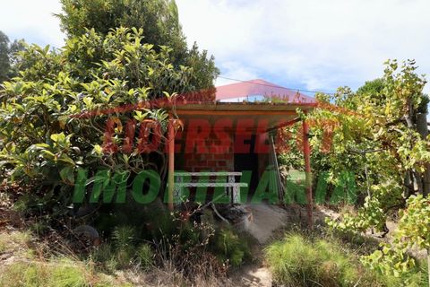 Helårsgrund i A dos Cunhados e Maceira, Lisbon, A dos Cunhados e Maceira - € 74.000 | Ref: TRN142 - foto 4