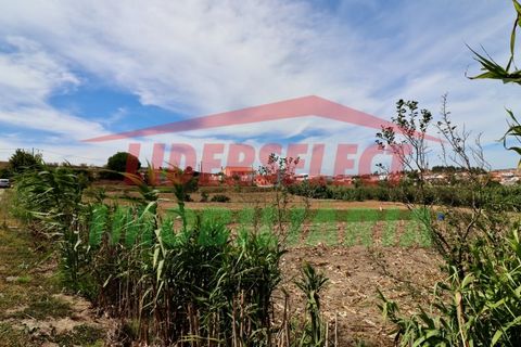Helårsgrund i A dos Cunhados e Maceira, Lisbon, A dos Cunhados e Maceira - € 74.000 | Ref: TRN142 - foto 5