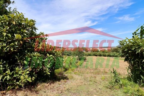Helårsgrund i A dos Cunhados e Maceira, Lisbon, A dos Cunhados e Maceira - € 74.000 | Ref: TRN142 - foto 7
