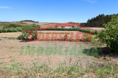 Helårsgrund i A dos Cunhados e Maceira, Lisbon, A dos Cunhados e Maceira - € 74.000 | Ref: TRN142 - foto 8
