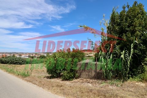 Helårsgrund i A dos Cunhados e Maceira, Lisbon, A dos Cunhados e Maceira - € 74.000 | Ref: TRN142 - foto 9