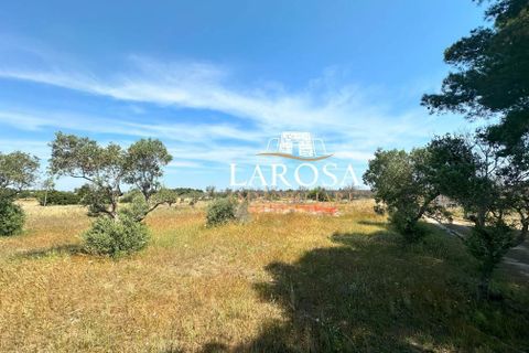 Villa i Lizzanello, Lecce, Lizzanello - € 70.000 | Ref: cod.117 - foto 11