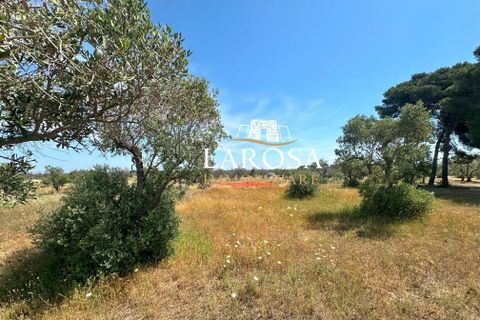 Villa i Lizzanello, Lecce, Lizzanello - € 70.000 | Ref: cod.117 - foto 12
