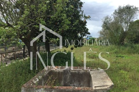 Villa i Golega, Santarem, Golega - € 82.500 | Ref: 761 - foto 2