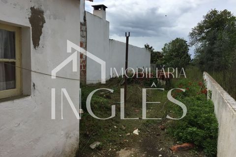 Villa i Golega, Santarem, Golega - € 82.500 | Ref: 761 - foto 3