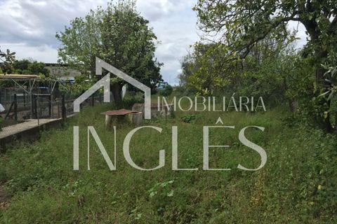 Villa i Golega, Santarem, Golega - € 82.500 | Ref: 761 - foto 1