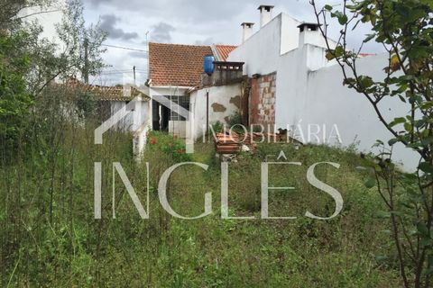 Villa i Golega, Santarem, Golega - € 82.500 | Ref: 761 - foto 11