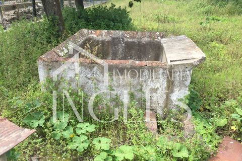 Villa i Golega, Santarem, Golega - € 82.500 | Ref: 761 - foto 12