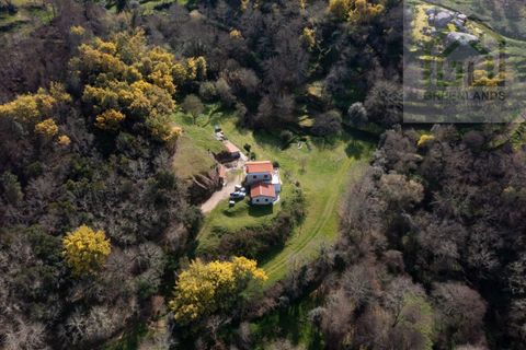 Landejendom i Tabua, Coimbra, Tabua - € 285.000 | Ref: 640 - foto 3