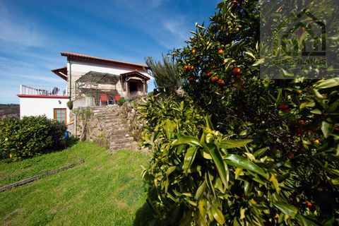 Landejendom i Tabua, Coimbra, Tabua - € 285.000 | Ref: 640 - foto 6