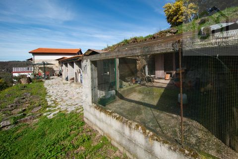 Landejendom i Tabua, Coimbra, Tabua - € 285.000 | Ref: 640 - foto 8