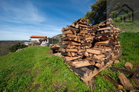 Landejendom i Tabua, Coimbra, Tabua - € 285.000 | Ref: 640 - foto 9