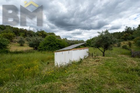 Villa i Idanha-a-Nova, Castelo Branco, Idanha-a-Nova - € 140.000 | Ref: 4873 - foto 22