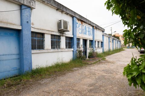 Erhvervsejendom i Tomar, Santarem, Tomar - € 480.000 | Ref: 395250054 - foto 3
