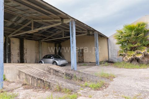Erhvervsejendom i Tomar, Santarem, Tomar - € 480.000 | Ref: 395250054 - foto 11