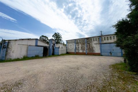Erhvervsejendom i Tomar, Santarem, Tomar - € 480.000 | Ref: 395250054 - foto 22
