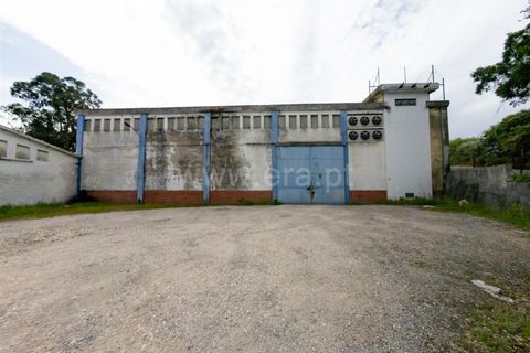 Erhvervsejendom i Tomar, Santarem, Tomar - € 480.000 | Ref: 395250054 - foto 23