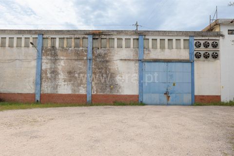 Erhvervsejendom i Tomar, Santarem, Tomar - € 480.000 | Ref: 395250054 - foto 24