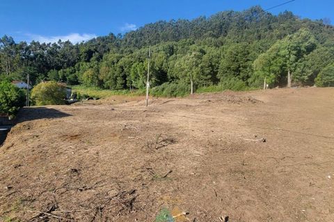Helårsgrund i Ponte de Lima, Viana do Castelo, Ponte de Lima - € 125.000 | Ref: PTL-019-006 - foto 5