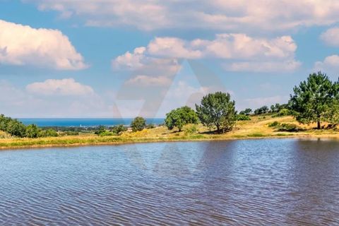 Villa i Odemira, Beja, Odemira - € 1.500.000 | Ref: Qt-902 - foto 18