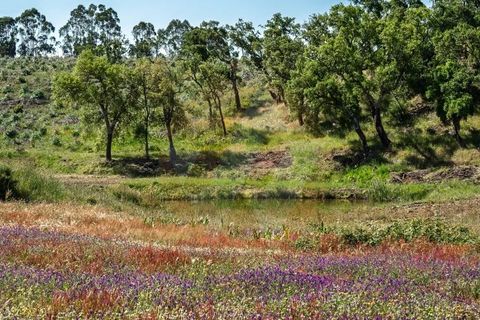 Villa i Odemira, Beja, Odemira - € 1.500.000 | Ref: Qt-902 - foto 2