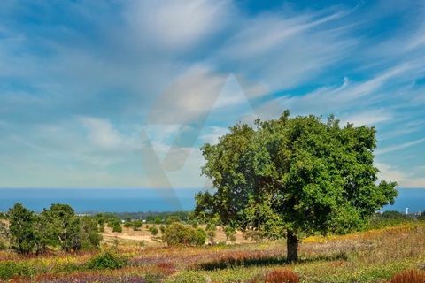 Villa i Odemira, Beja, Odemira - € 1.500.000 | Ref: Qt-902 - foto 4