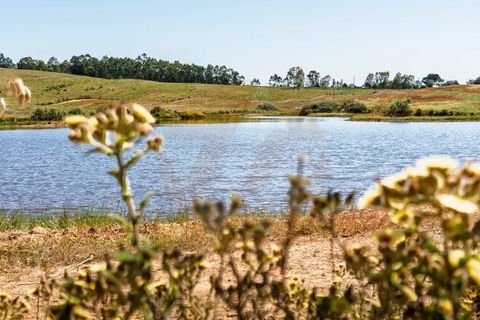 Villa i Odemira, Beja, Odemira - € 1.500.000 | Ref: Qt-902 - foto 8