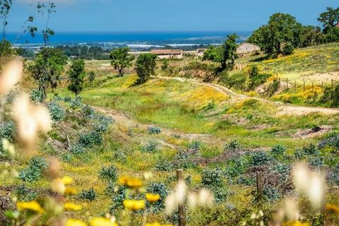 Villa i Odemira, Beja, Odemira - € 1.500.000 | Ref: Qt-902 - foto 9