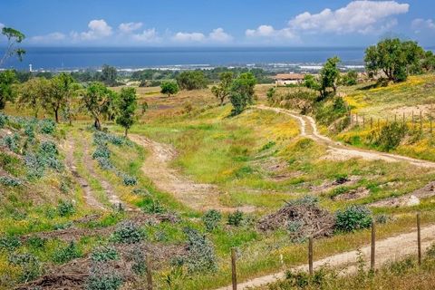 Villa i Odemira, Beja, Odemira - € 1.500.000 | Ref: Qt-902 - foto 10