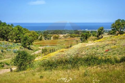Villa i Odemira, Beja, Odemira - € 1.500.000 | Ref: Qt-902 - foto 12