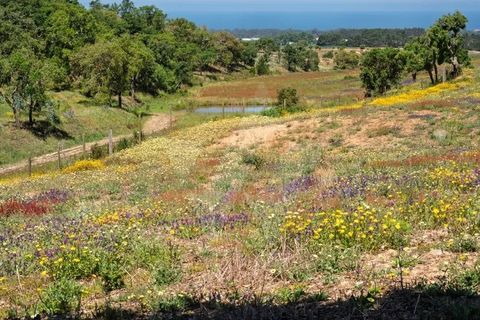 Villa i Odemira, Beja, Odemira - € 1.500.000 | Ref: Qt-902 - foto 13