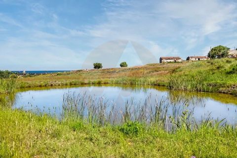 Villa i Odemira, Beja, Odemira - € 1.500.000 | Ref: Qt-902 - foto 14